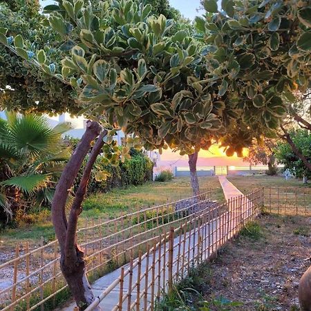 Villamare Nerántza Exteriér fotografie