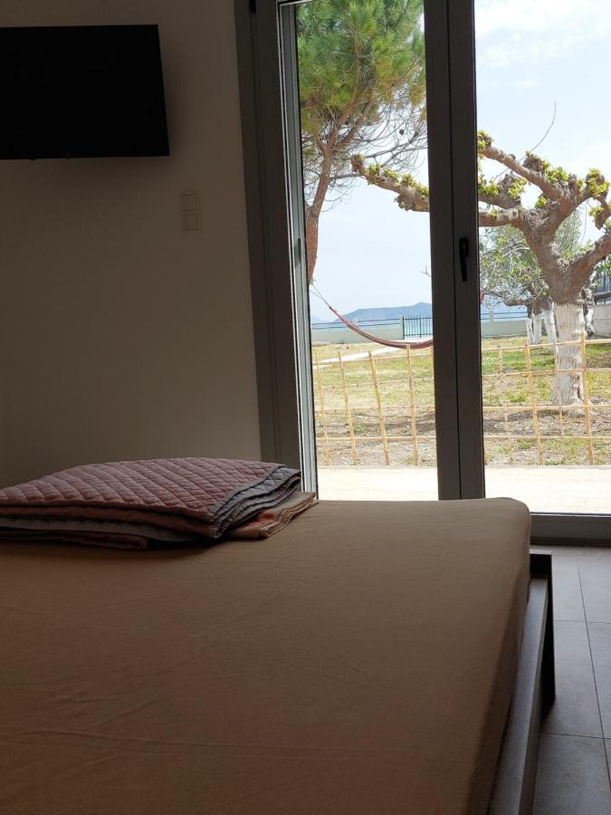 Villamare Nerántza Exteriér fotografie