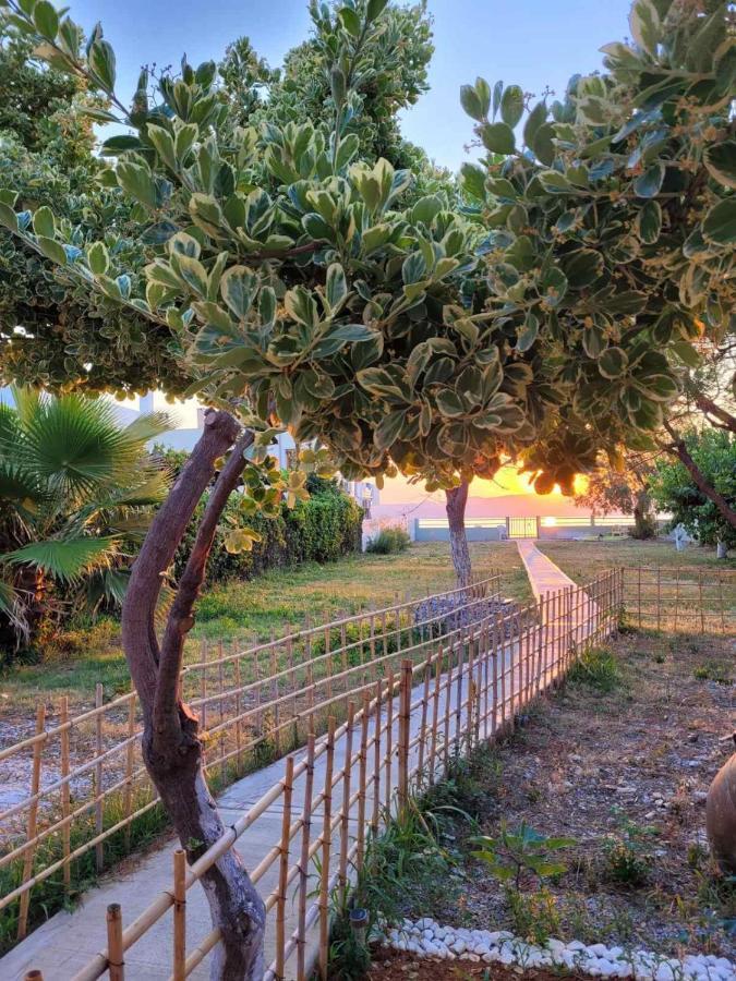 Villamare Nerántza Exteriér fotografie